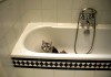猫の嫌がるシャンプーの際のシャワー お湯の温度や注意点まとめ